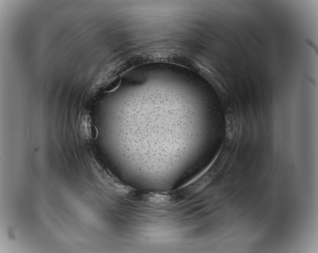 X0000099430718200805231653