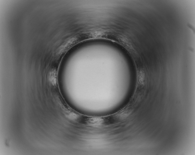 X0000099430719200805231653