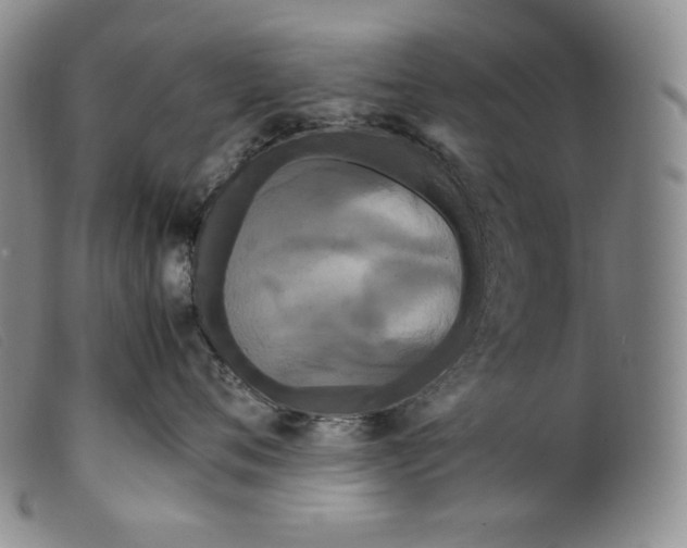 X0000099430720200805231653