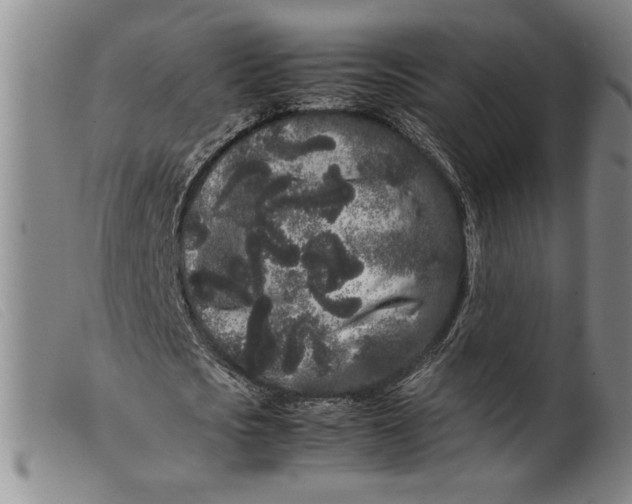 X0000099430721200805231652