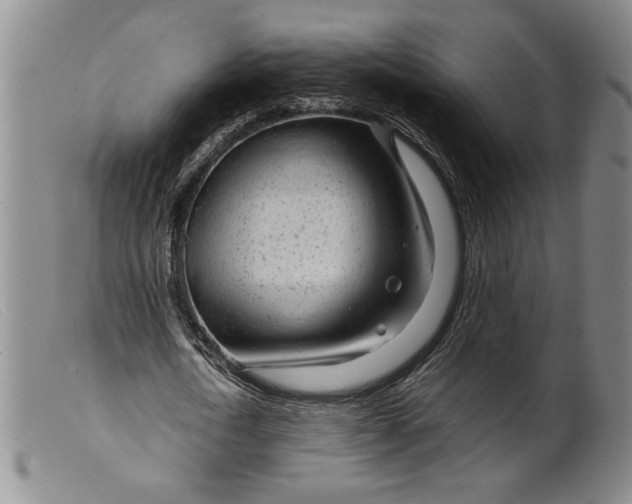 X0000099430722200805231652