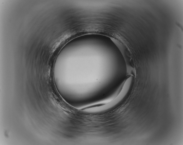 X0000099430723200805231652