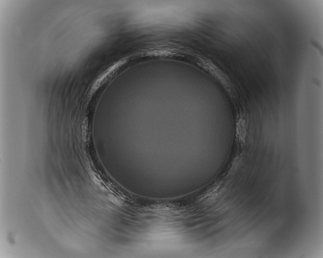 X0000099430724200805231652