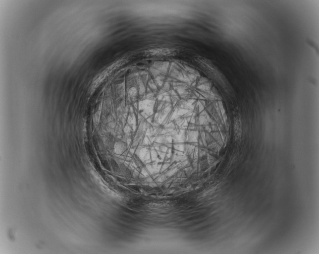 X0000099430725200805231652
