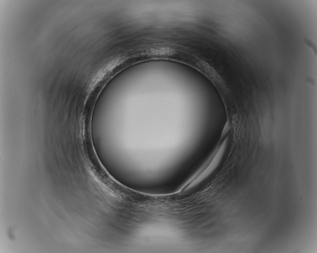 X0000099430726200805231652