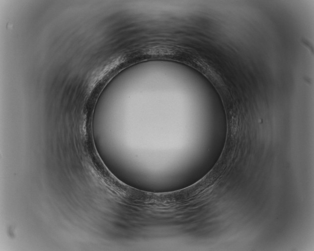 X0000099430727200805231652