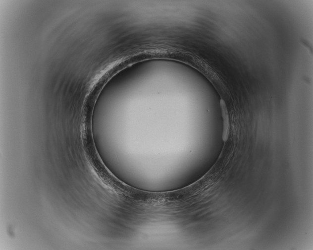 X0000099430728200805231652