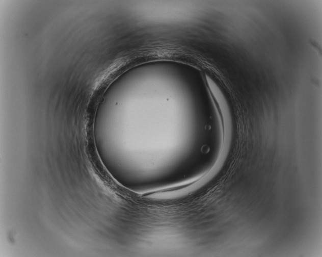 X0000099430730200805231652