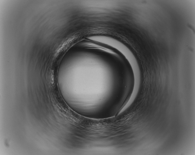X0000099430731200805231652