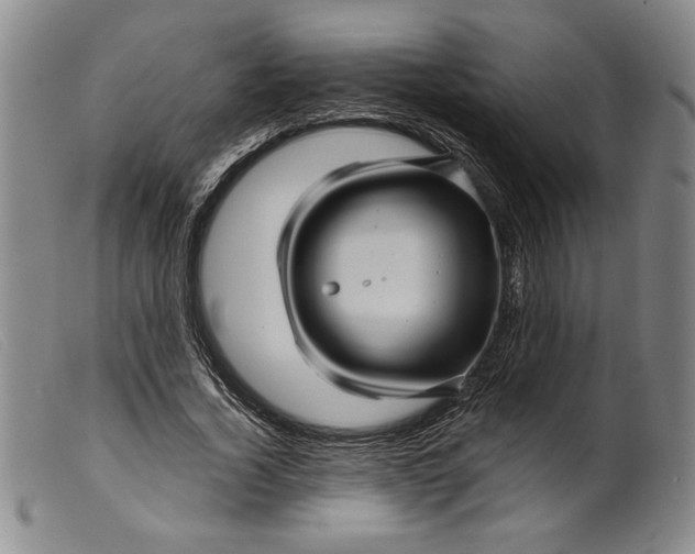X0000099430732200805231653