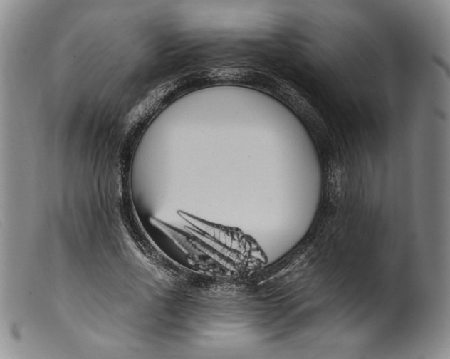 X0000099430734200805231653
