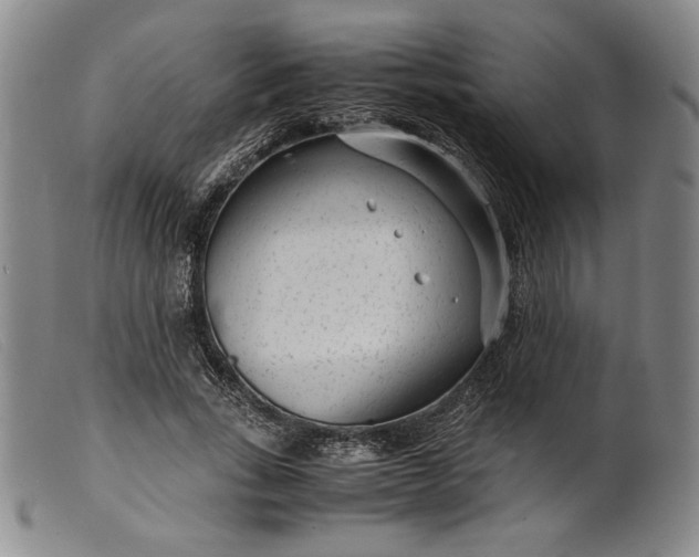 X0000099430735200805231653