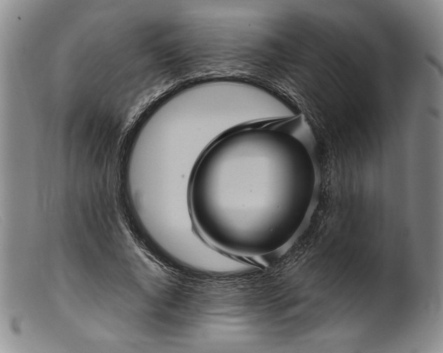 X0000099430736200805231653
