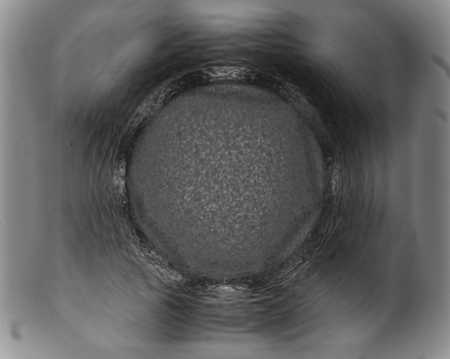 X0000099430737200805231653