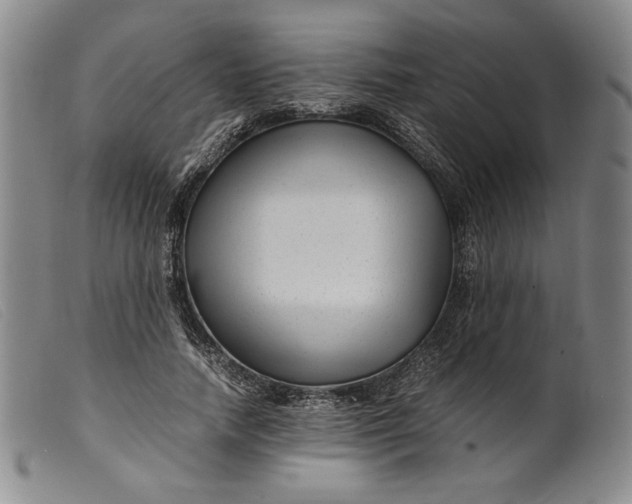 X0000099430738200805231653