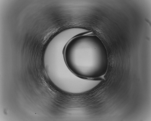 X0000099430740200805231653