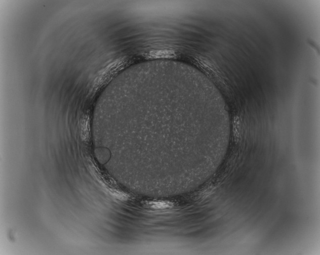 X0000099430741200805231653