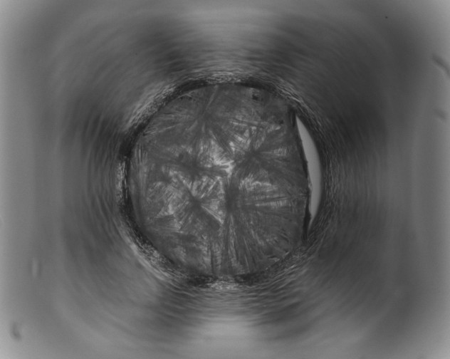 X0000099430742200805231653