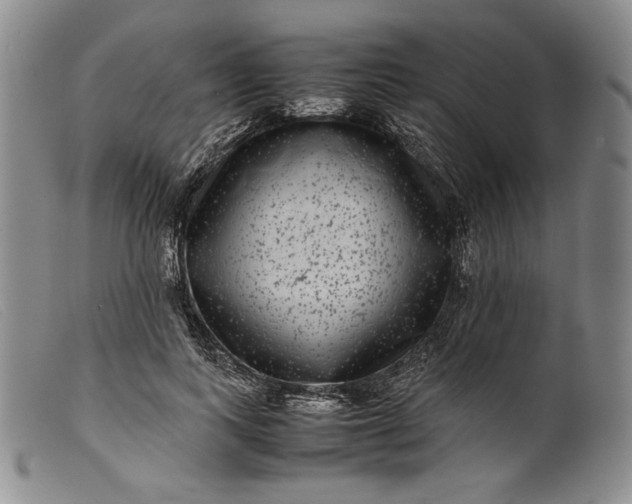 X0000099430743200805231653