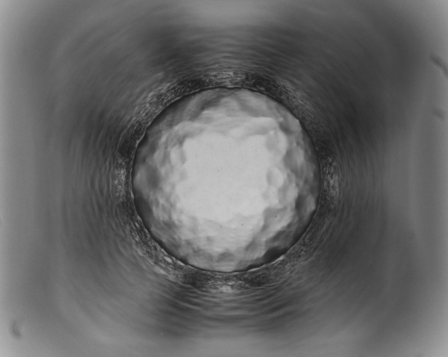X0000099430745200805231653