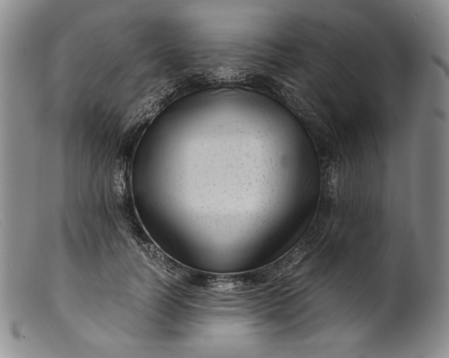 X0000099430746200805231653