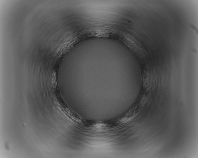 X0000099430748200805231653