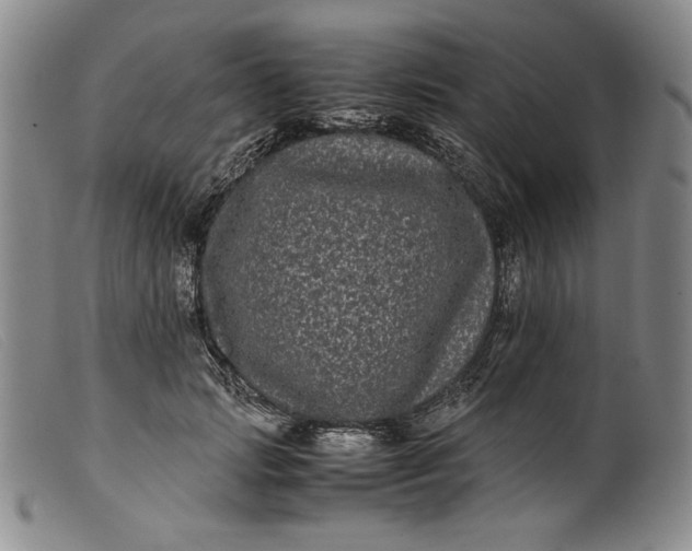 X0000099430749200805231653