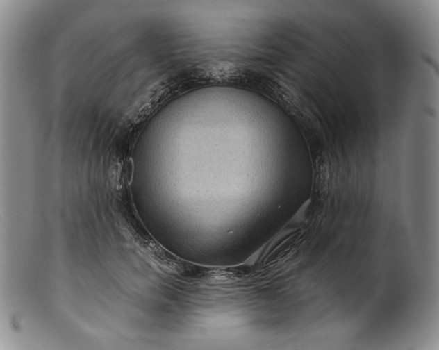 X0000099430750200805231653