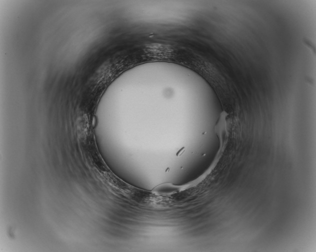 X0000099430752200805231653