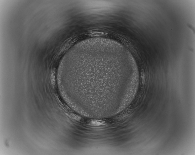 X0000099430753200805231653