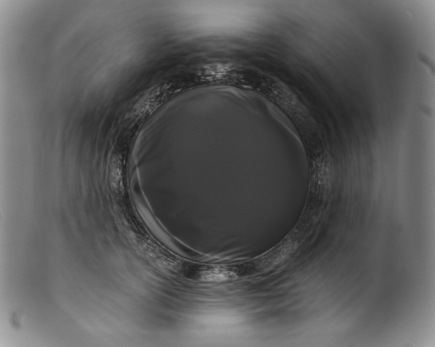 X0000099430754200805231653