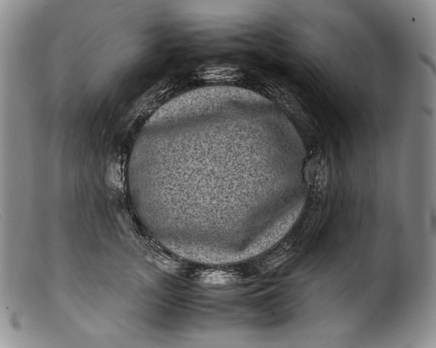 X0000099430755200805231653