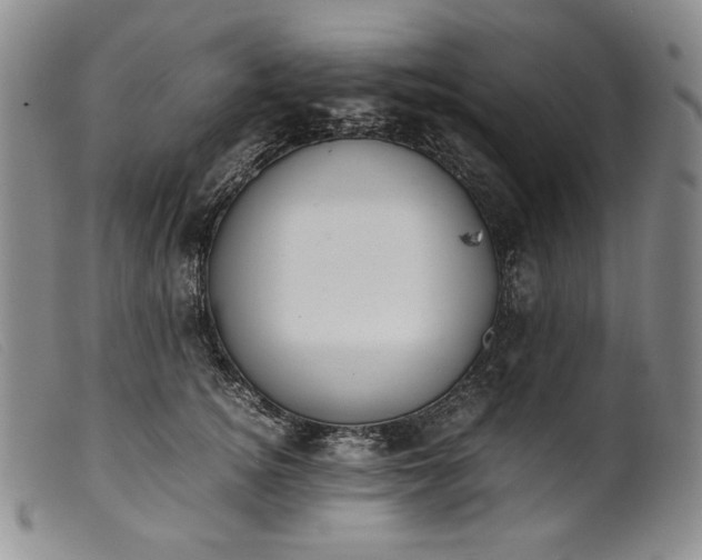 X0000099430756200805231653