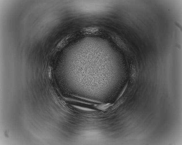 X0000099430758200805231653