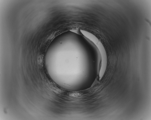 X0000099430759200805231653