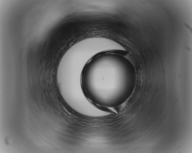 X0000099430760200805231653