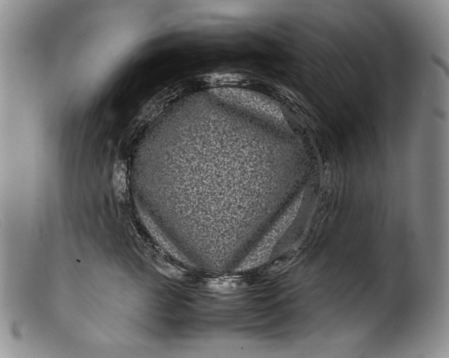 X0000099430761200805231653