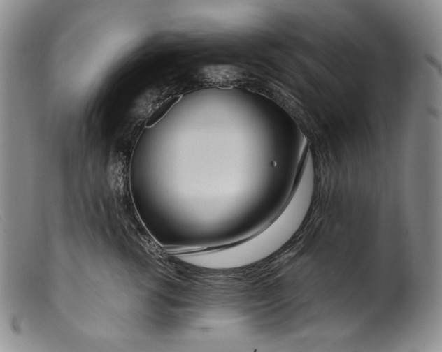 X0000099430762200805231653