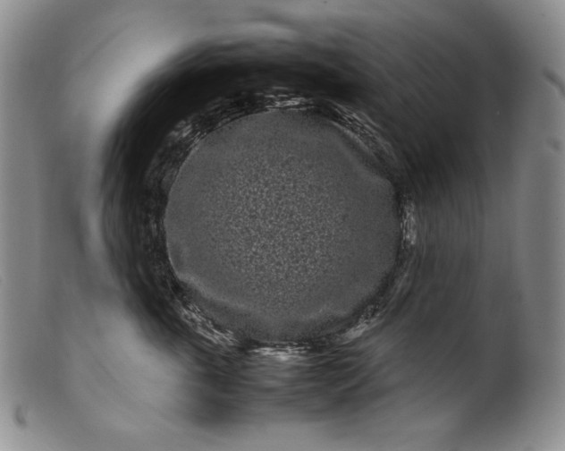 X0000099430763200805231653