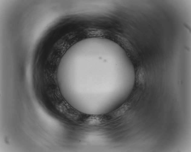 X0000099430764200805231653