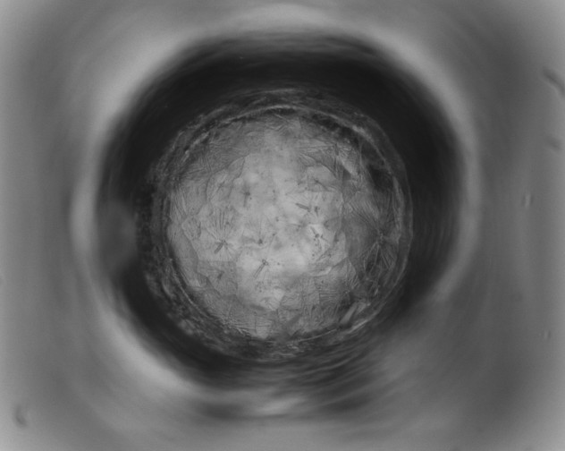 X0000099430765200805231653