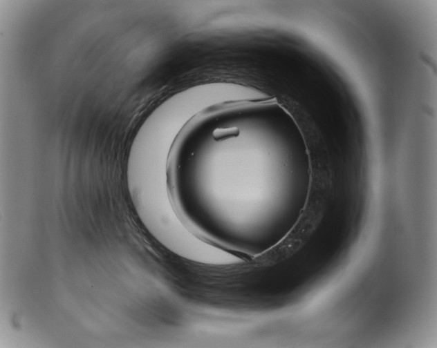 X0000099430766200805231653
