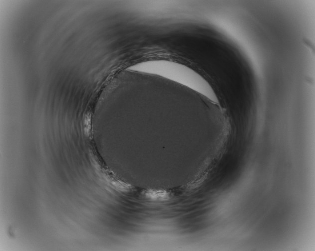 X0000099430767200805231653