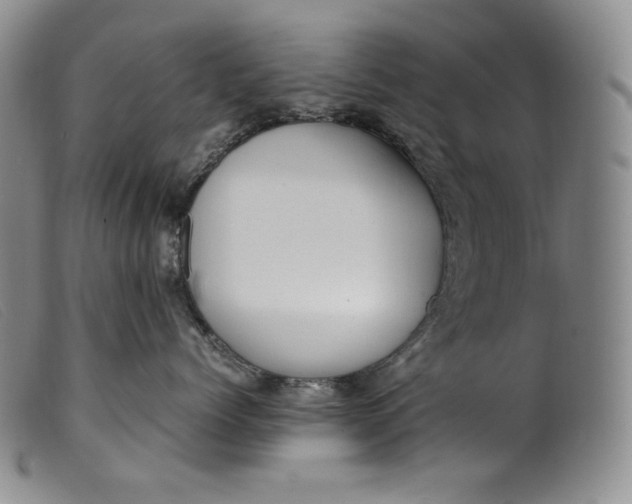 X0000099430768200805231653