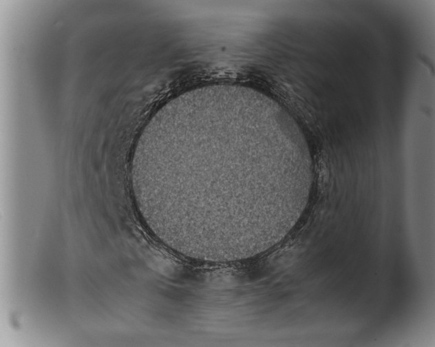 X0000099430769200805231652