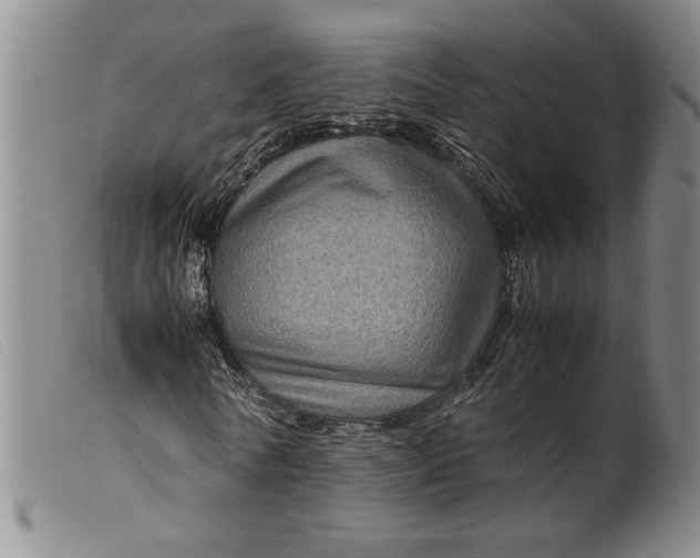 X0000099430770200805231652