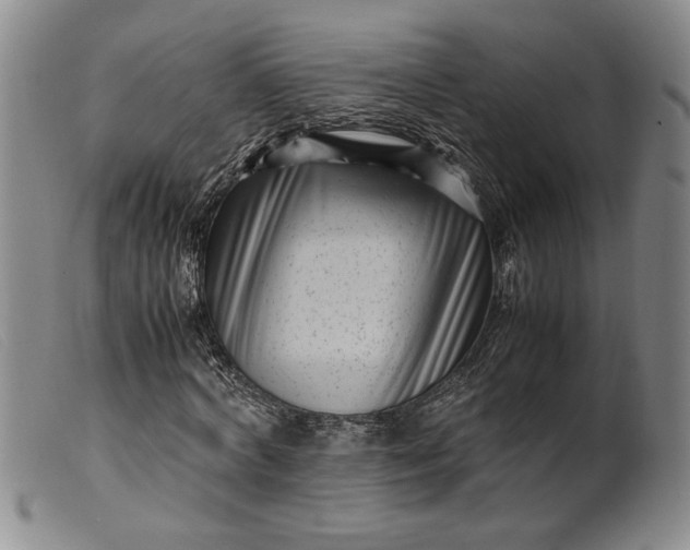 X0000099430772200805231652