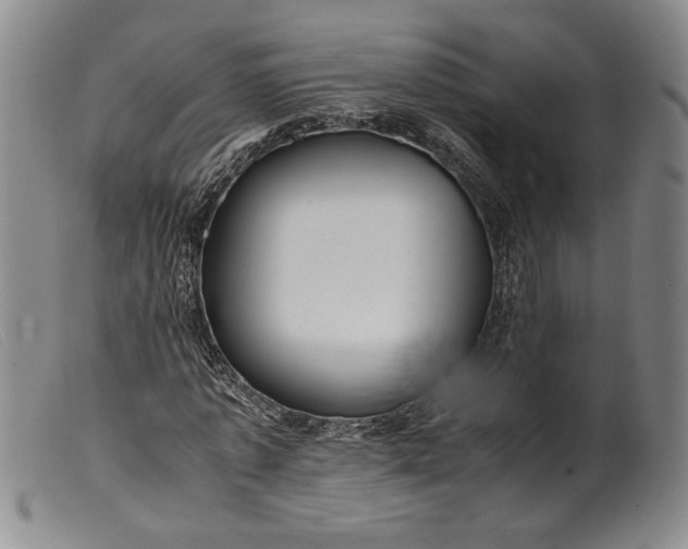 X0000099430773200805231652