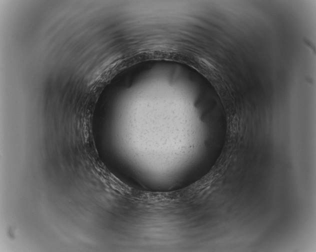 X0000099430774200805231652