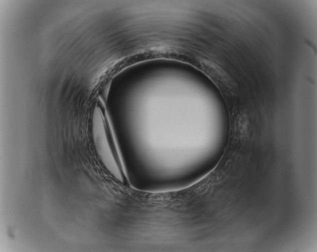 X0000099430776200805231652